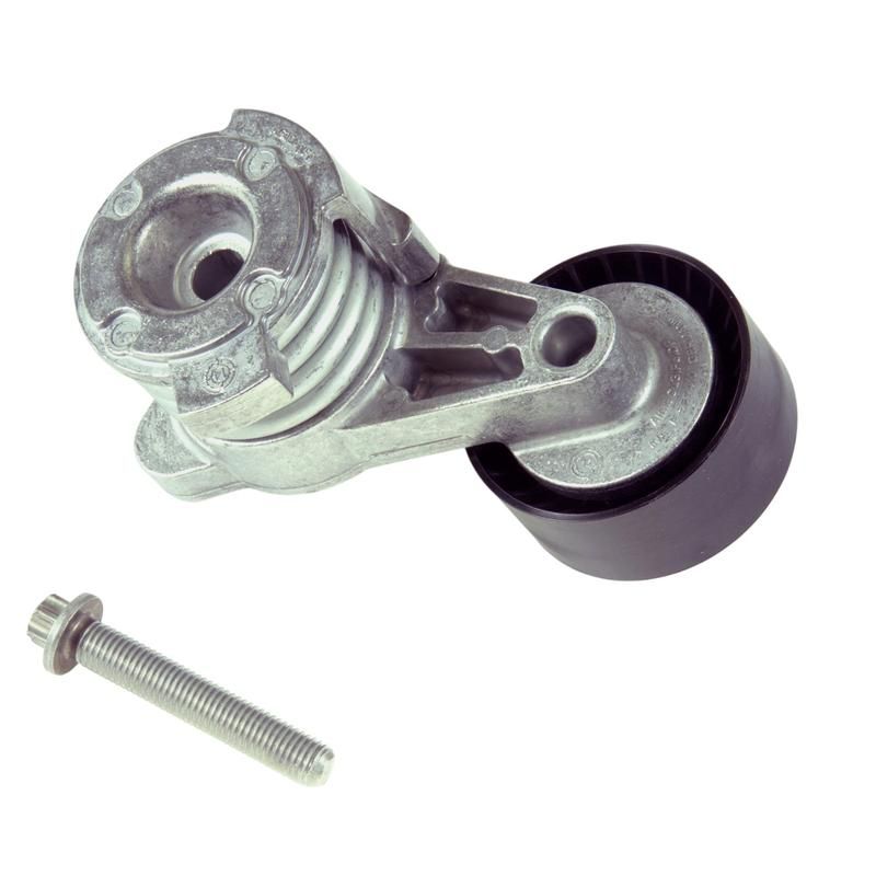 INA FT40432 INA BDC FEAD tensioner