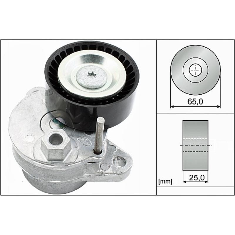 INA FT40540 INA BDC FEAD tensioner