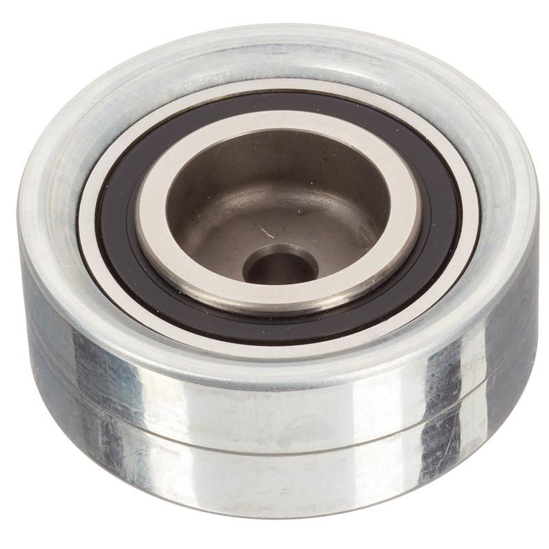 INA ZP05821 INA BDC TBD pulley