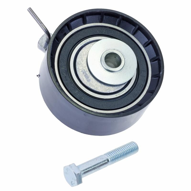 INA ZT08131 INA BDC TBD tensioner pulley