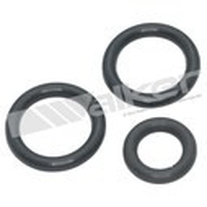 Walker Products 17191 Walker Products 17191 Fuel Injection Fuel Rail O-Ring Kit