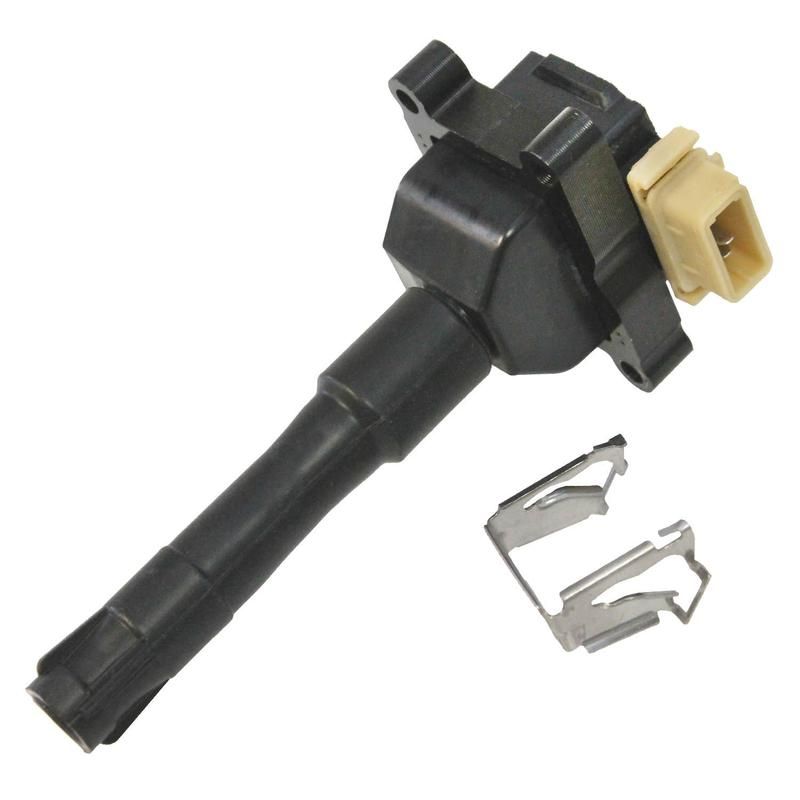 Walker Products 921-2189 ThunderSpark 921-2189 Ignition Coil