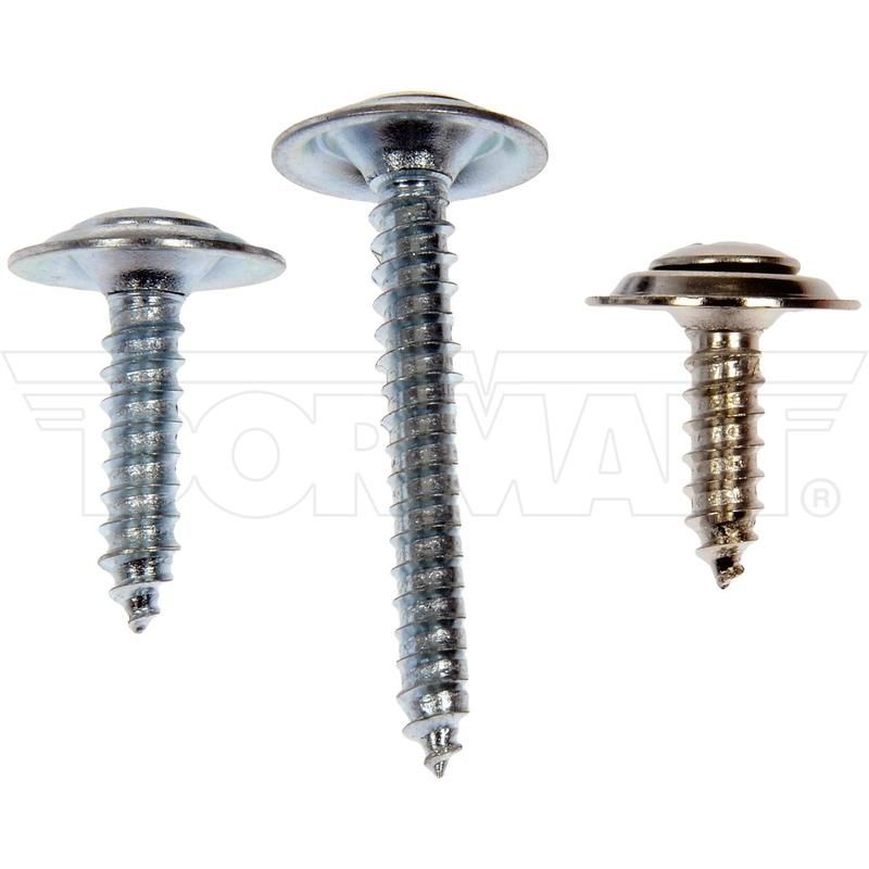 DORMAN 961-225D Trim Screw Assortment - Chrome - No.8 X 5/8 In., 3/4 In., 1 In., 1-1/4 In.