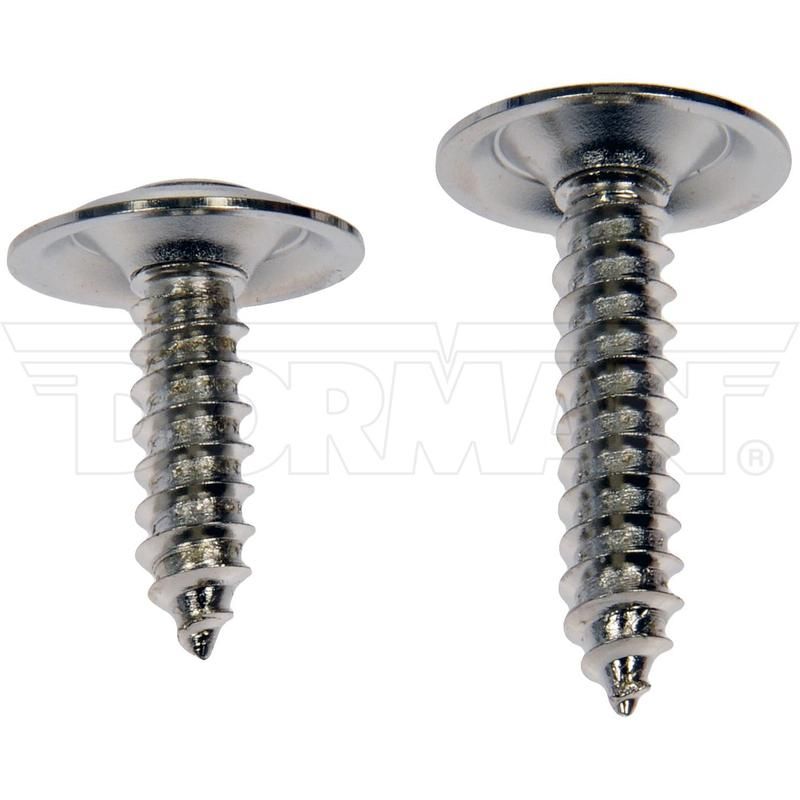 DORMAN 961-230D Trim Screw Assortment - Chrome - No.10 X 3/4 In., 1 In.