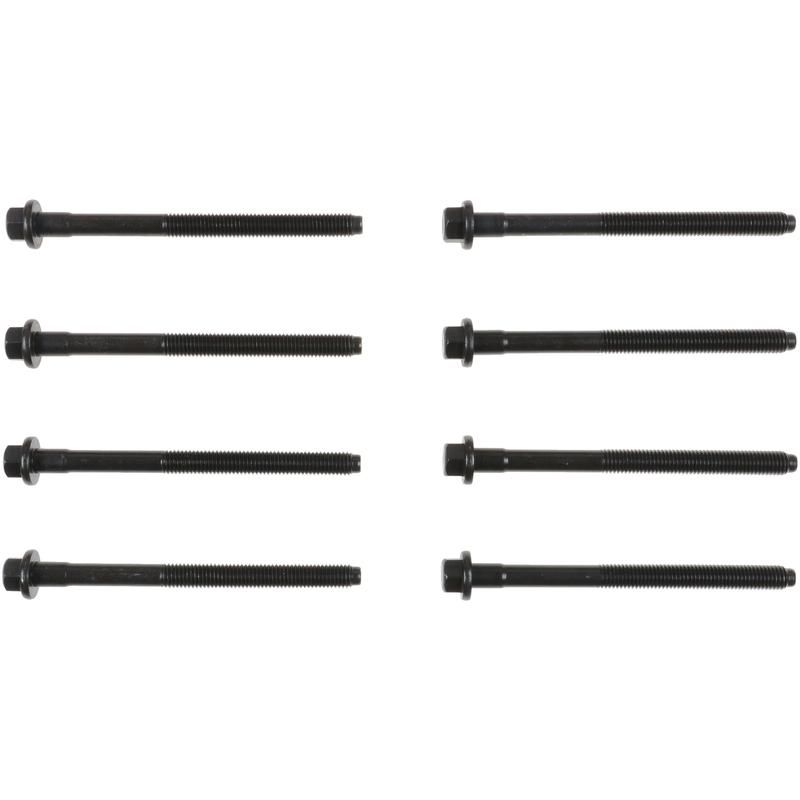Victor Reinz 14-10061-01 Engine Cylinder Head Bolt Set