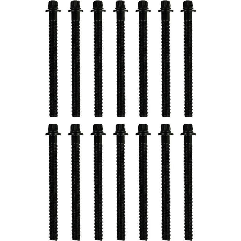 Victor Reinz 14-32005-02 Engine Cylinder Head Bolt Set