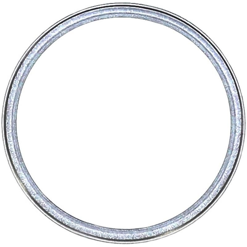 Victor Reinz 71-24953-30 Exhaust Manifold Gasket