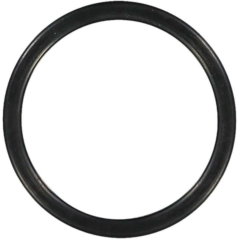 Victor Reinz 71-31308-00 Engine Coolant Thermostat Housing Seal