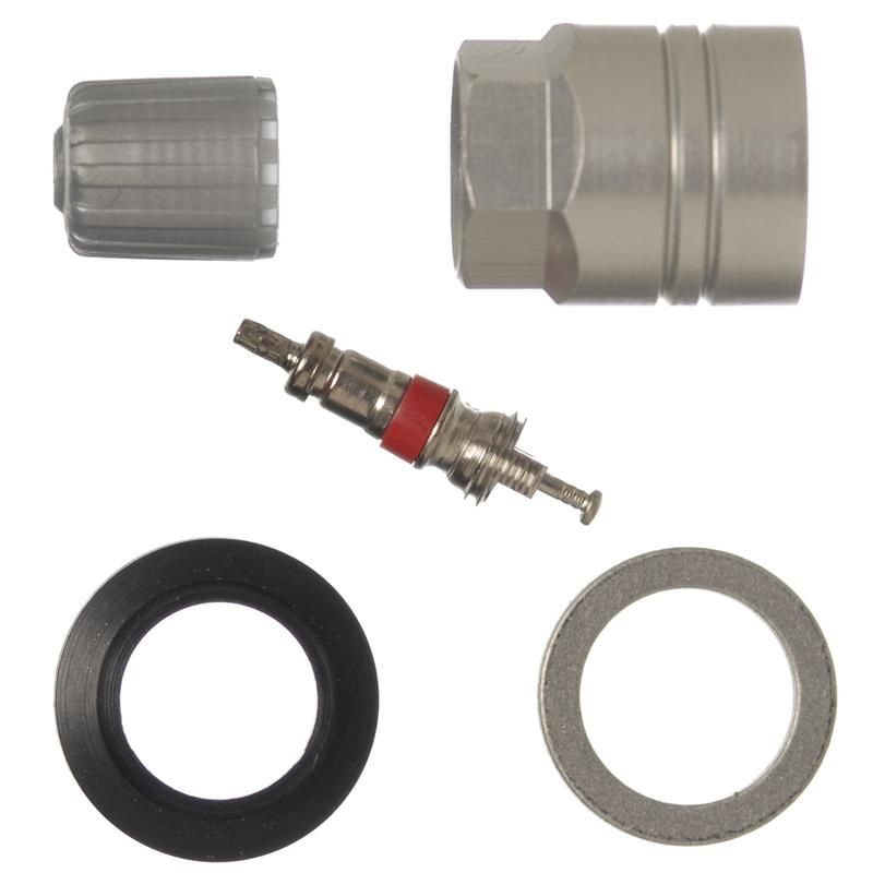 SCHRADER VALVES 20019-25 TPMS Service Pk - Clamp-In - 25 Pk