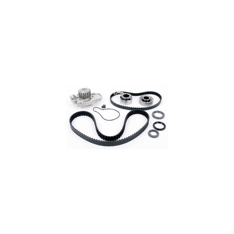 SKF TBK244WP Timing Belt And Waterpump Kit