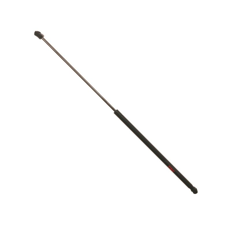 TRW TSG167003 TRW Gas Spring