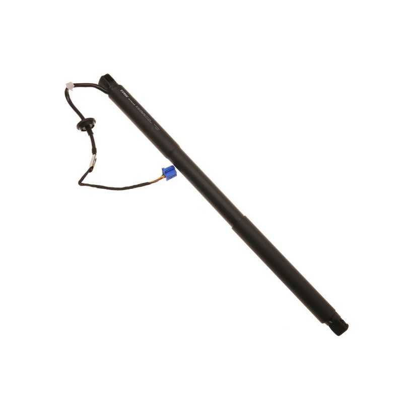 TRW TSG367059 TRW X-Tend powered lift support