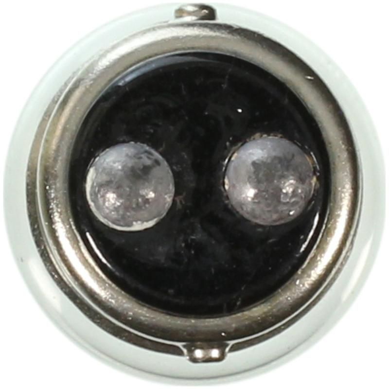 WAGNER LIGHTING 1252 Standard Multi-Purpose Light Bulb Box of 10