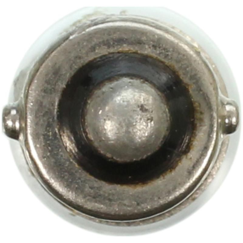 WAGNER LIGHTING 1450 Standard Multi-Purpose Light Bulb Box of 10