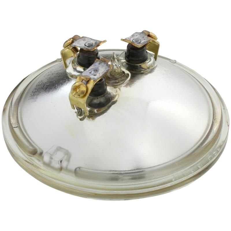 WAGNER LIGHTING 4700 Standard Multi-Purpose Light Bulb Box of 1