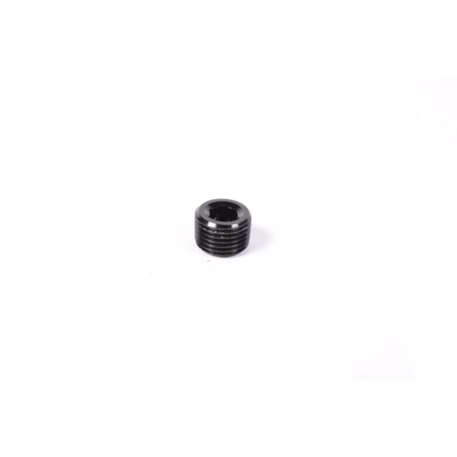 Radium Engineering 14-0172 1/8NPT PLUG