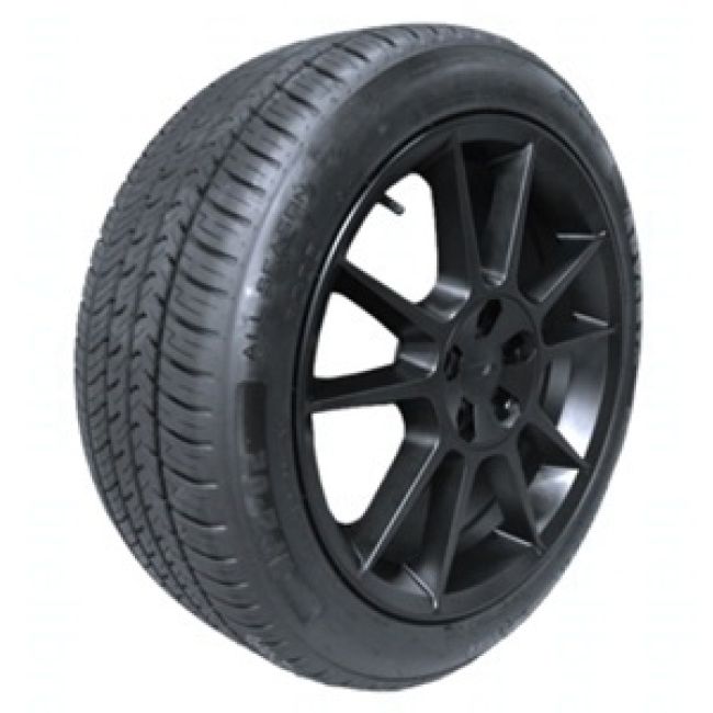 ADVANTA TIRE 1951346550 205/55R16