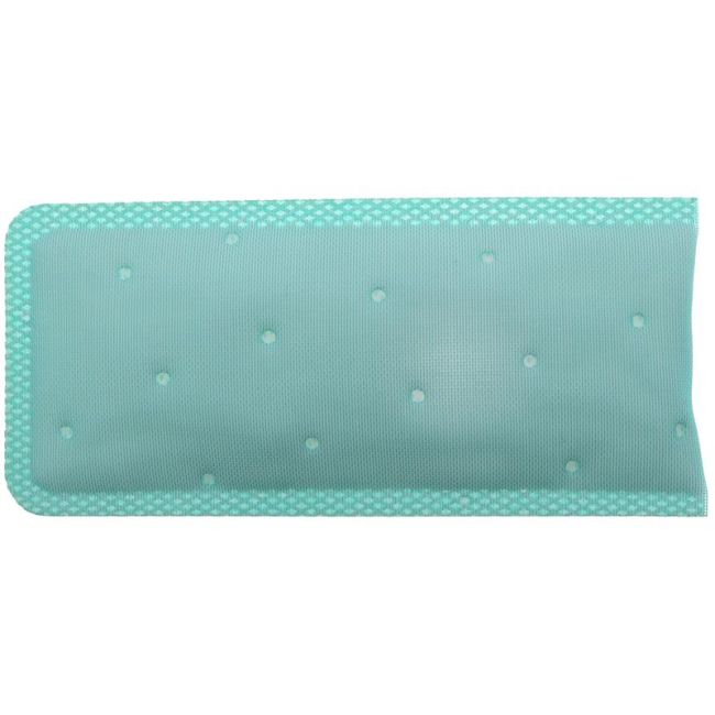 CARTER FUEL PUMPS STS-1 Fuel Pump Strainer