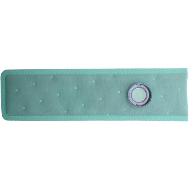 CARTER FUEL PUMPS STS-2 Fuel Pump Strainer