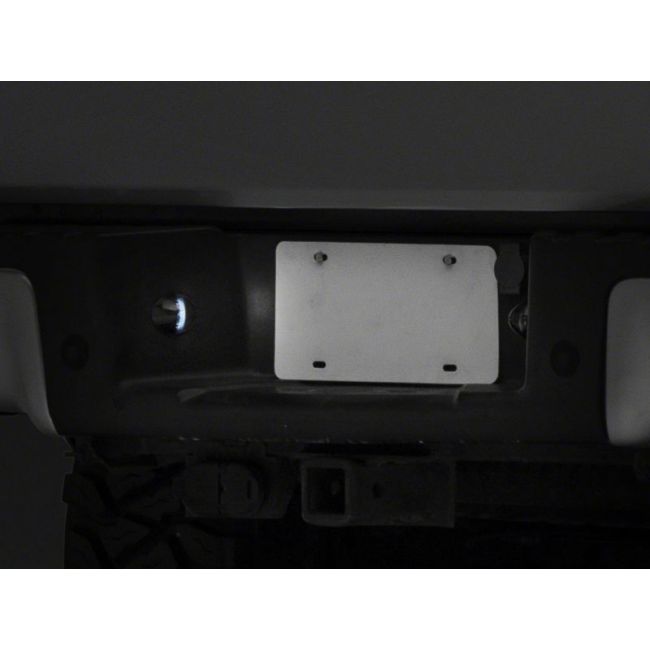 Raxiom T543147 01-14 Ford F-150 Axial Series LED License Plate Light Bulb