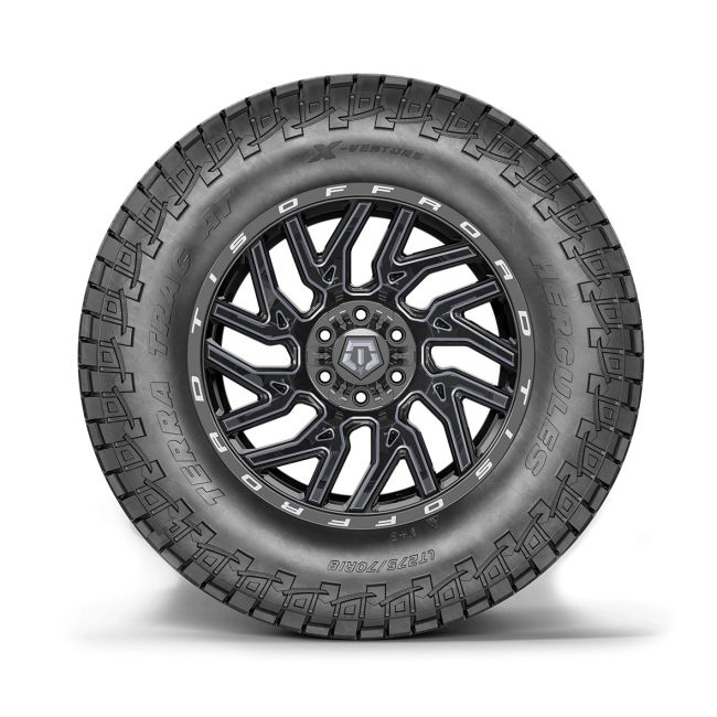 HERCULES Roadtour Connect PCV 195/65R15 All-Season
