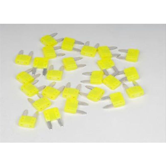 ACDelco ATM20 Electrical Fuse