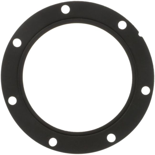 DELPHI FA10038 Fuel Pump Tank Seal