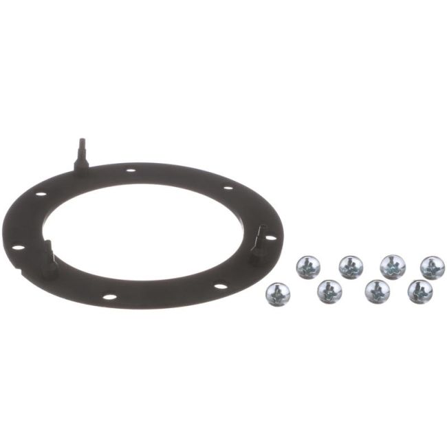 DELPHI FA10038 Fuel Pump Tank Seal