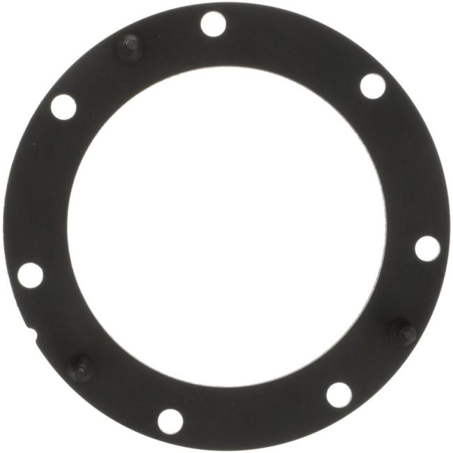 DELPHI FA10038 Fuel Pump Tank Seal