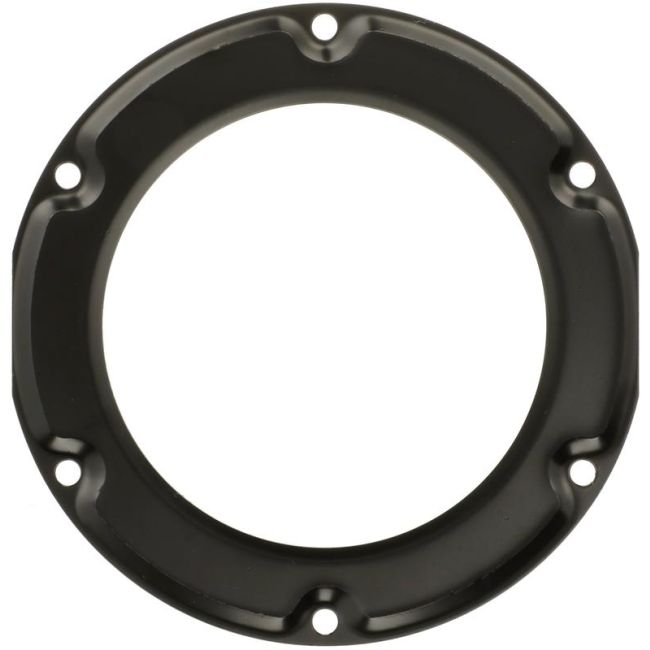 DELPHI PN9007 Fuel Tank Lock Ring