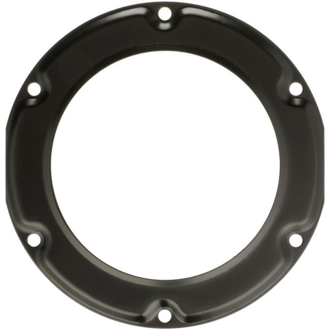 DELPHI PN9007 Fuel Tank Lock Ring