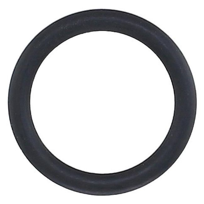 Elring 255.580 Seal Ring