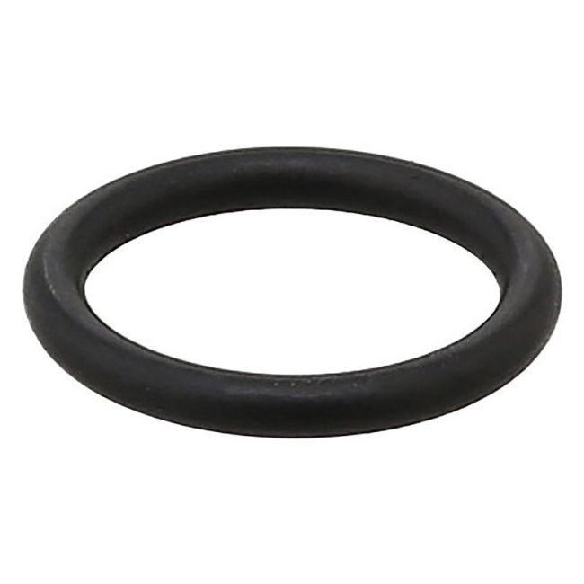 Elring 255.580 Seal Ring