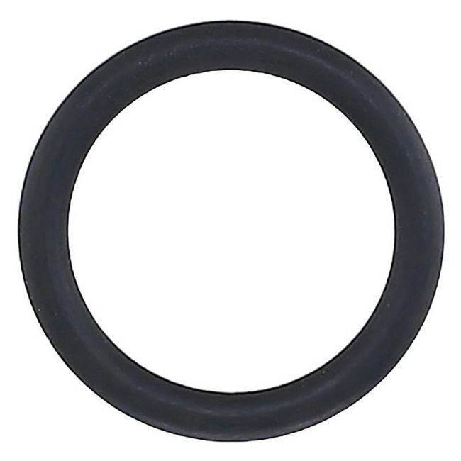 Elring 255.580 Seal Ring