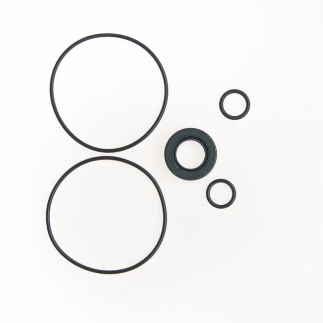Edelmann 8631 PUMP SEAL KIT