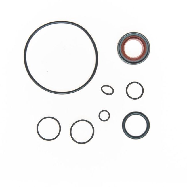 Edelmann 8705 HD PUMP SEAL KIT