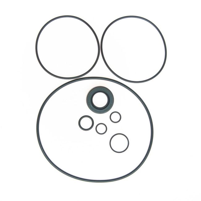 Edelmann 8754 PUMP SEAL KIT