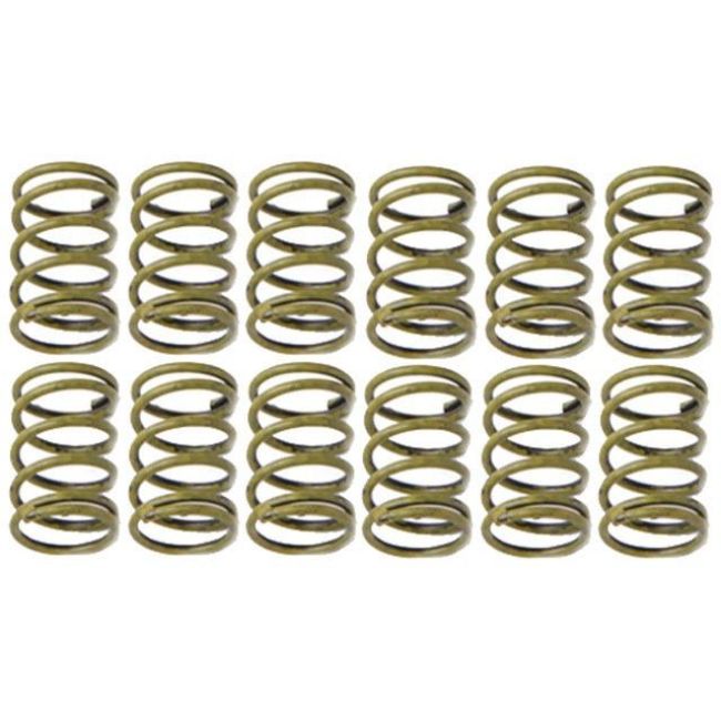 Raybestos H1150K Raybestos R-Line Hold Down Spring