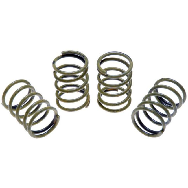 Raybestos H1150K Raybestos R-Line Hold Down Spring