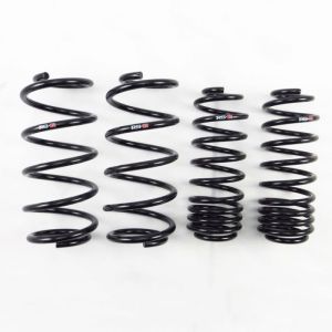 RS-R H292D 2015-2020 Honda Fit (GK5) Down Sus Springs