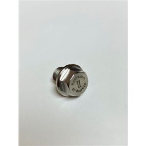 Rywire RY-TI-VTEC-BOLT VTec Pressure Delete Bolt - Titanium