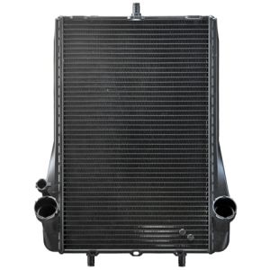 BEHR CR 1396 000P Radiator