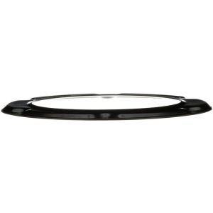 DELPHI PN9007 Fuel Tank Lock Ring