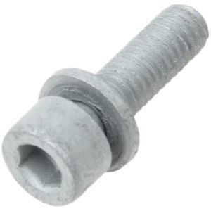 GENUINE 07119905499 Fuel Pump Bolt