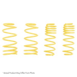 Suspension (68325 ST MUSCLE CAR SPRING)