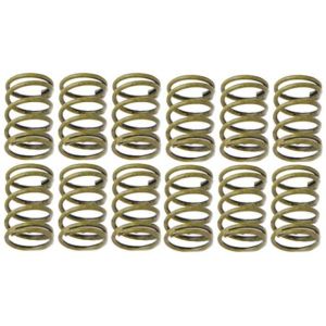 Raybestos H1150K Raybestos R-Line Hold Down Spring