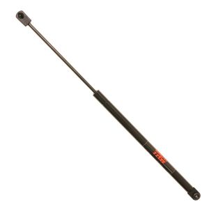 TRW TSG304009