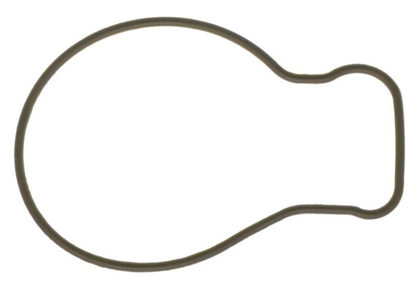 Ajusa 00722800 Gasket, Water Pump