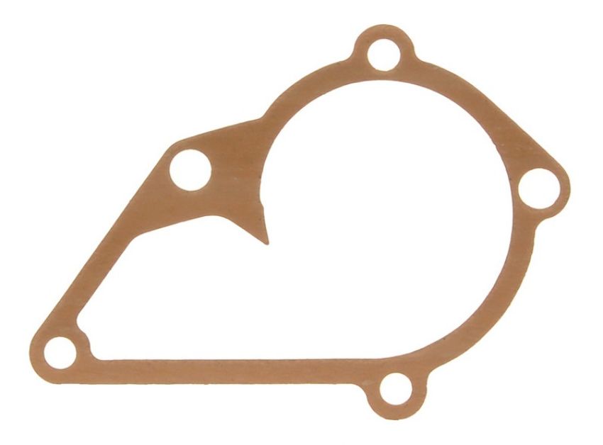 Ajusa 00750100 Gasket, Water Pump