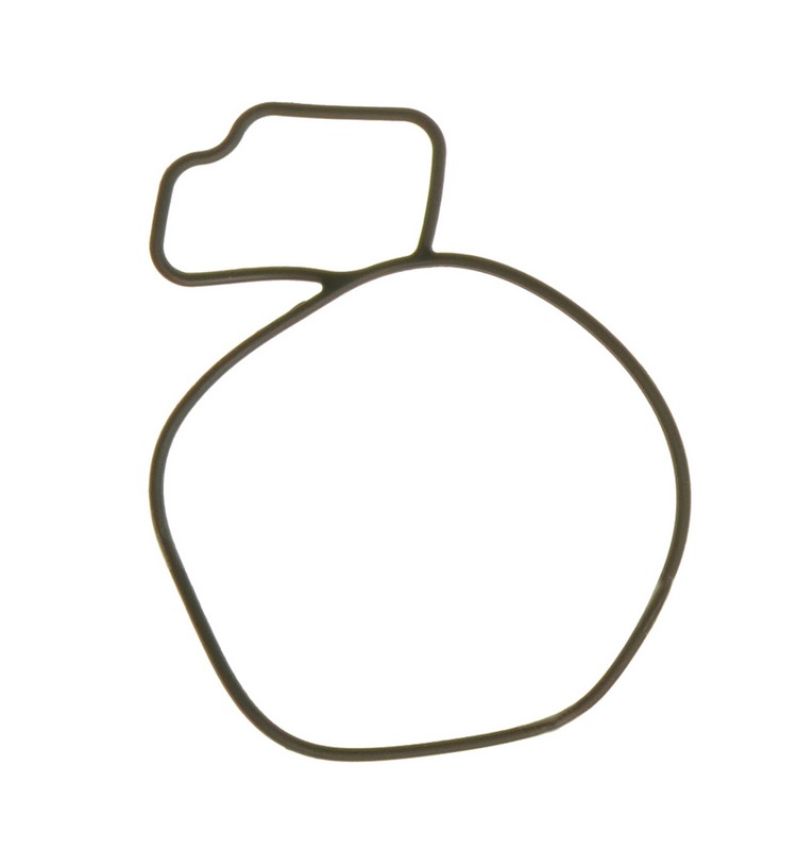 Ajusa 01055200 Gasket, Water Pump
